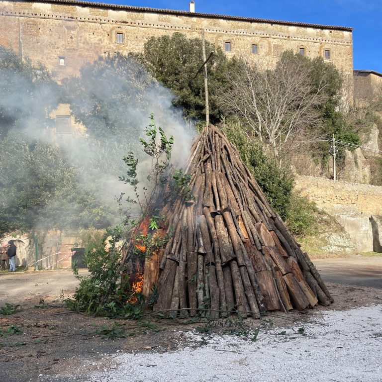 farnese-borgo-olio-noiano (1)