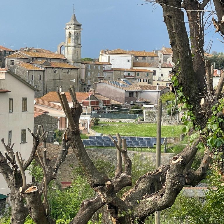 farnese-borgo-olio-noiano (3)